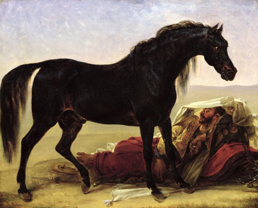  98-Antoine-Jean Gros-Un cavallo arabo-Musee des Beaux-Arts, Valenciennes